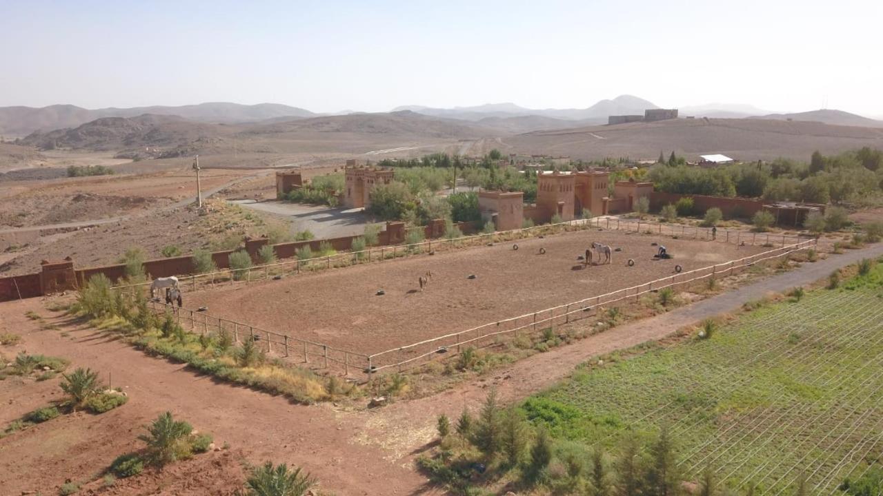 Dar Alfourssane Ferme D'Hote 瓦尔扎扎特 外观 照片