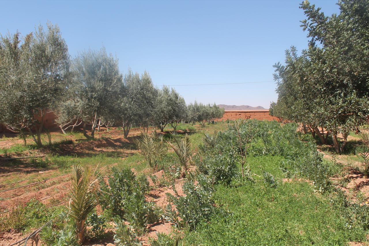 Dar Alfourssane Ferme D'Hote 瓦尔扎扎特 外观 照片