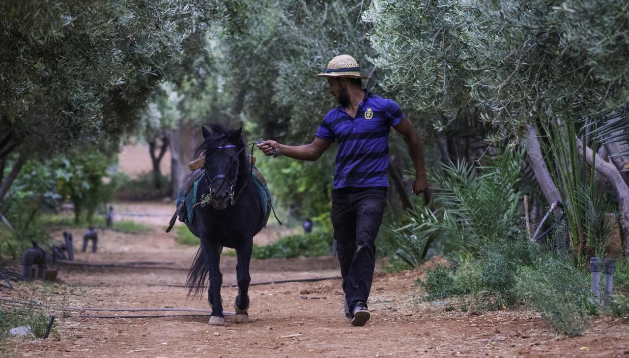 Dar Alfourssane Ferme D'Hote 瓦尔扎扎特 外观 照片