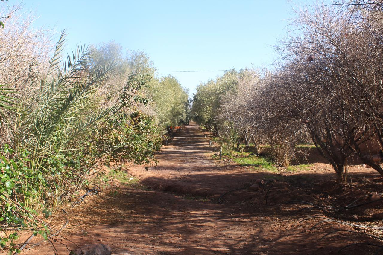 Dar Alfourssane Ferme D'Hote 瓦尔扎扎特 外观 照片